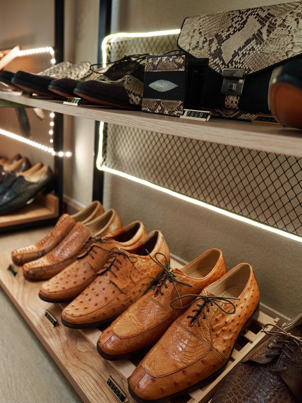 Ostrich and python leather shoes on a lit shelf